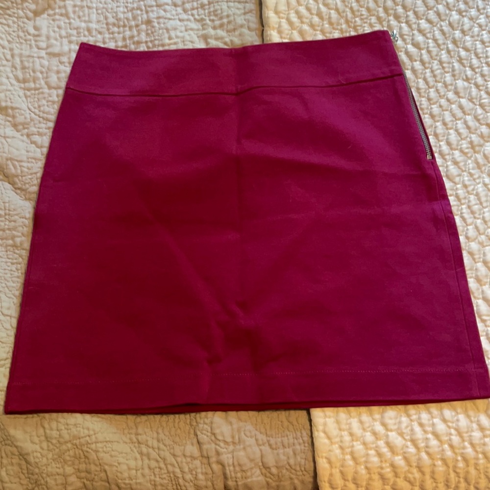 Banana Republic Pink Skirt